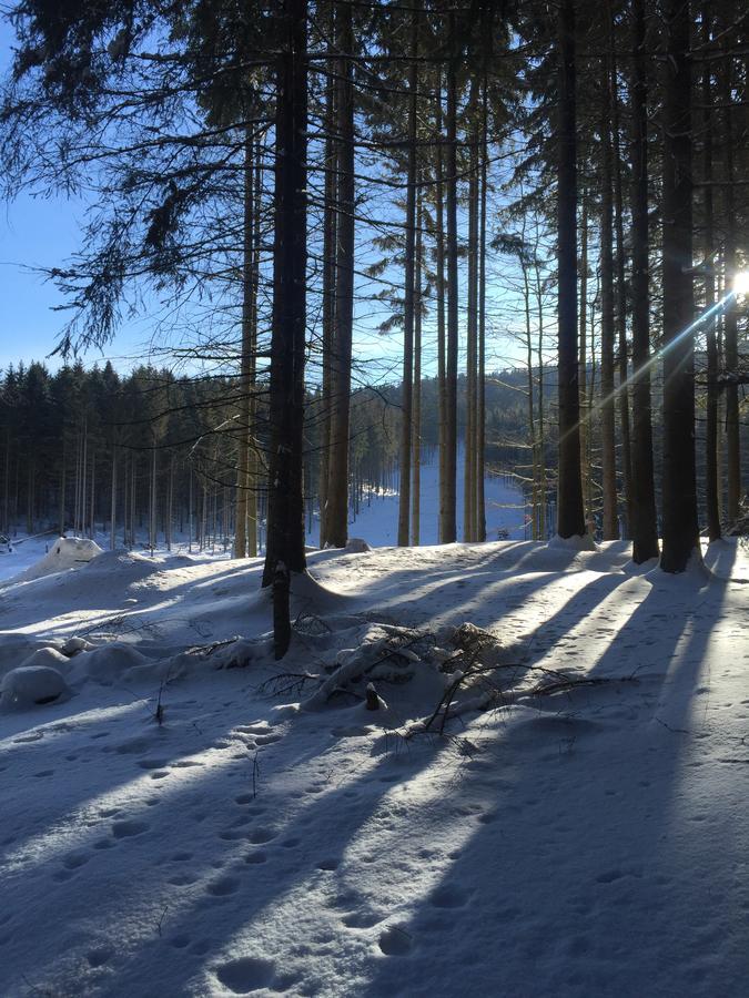 Apartmany Sportrelax Albrechtice v Jizerskych horach Bagian luar foto